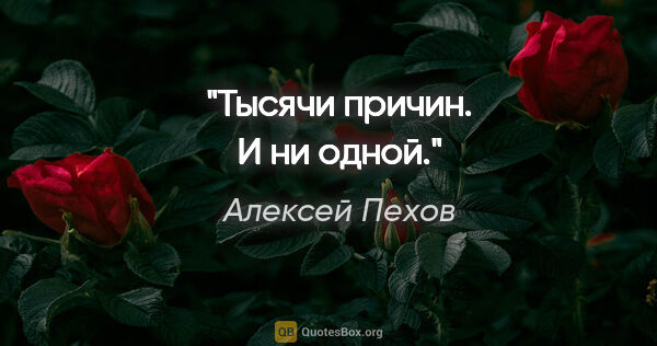 Алексей Пехов цитата: "Тысячи причин. И ни одной."