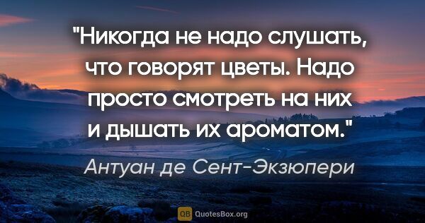 Антуан де Сент-Экзюпери цитата: "Никогда не надо слушать, что говорят цветы. Надо просто..."