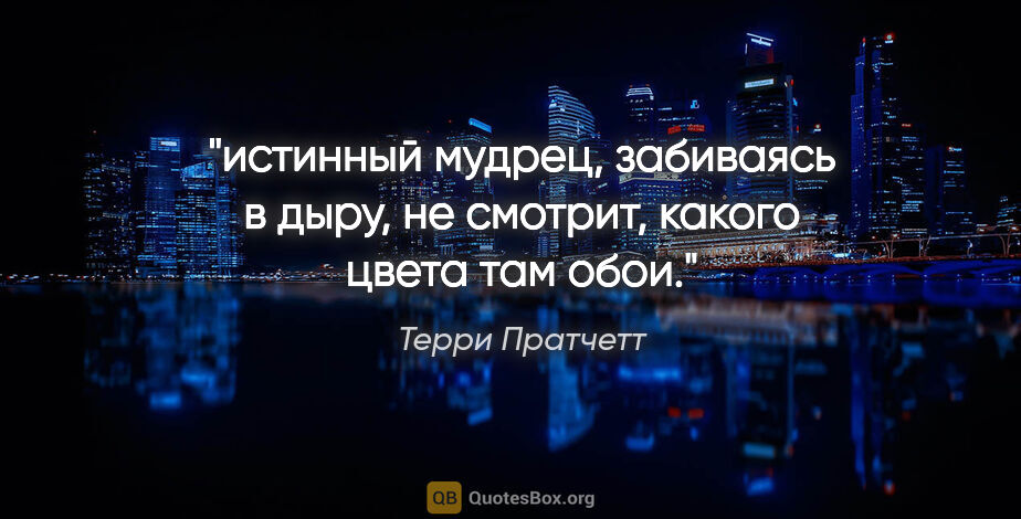 Терри Пратчетт цитата: "истинный мудрец, забиваясь в дыру, не смотрит, какого цвета..."