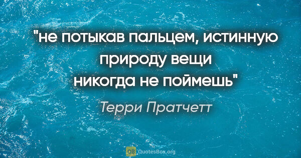 Терри Пратчетт цитата: "не потыкав пальцем, истинную природу вещи никогда не поймешь"