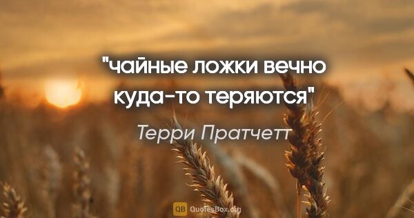 Терри Пратчетт цитата: "чайные ложки вечно куда-то теряются"