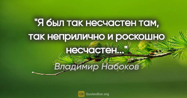 Владимир Набоков цитата: "Я был так несчастен там, так неприлично и роскошно несчастен..."