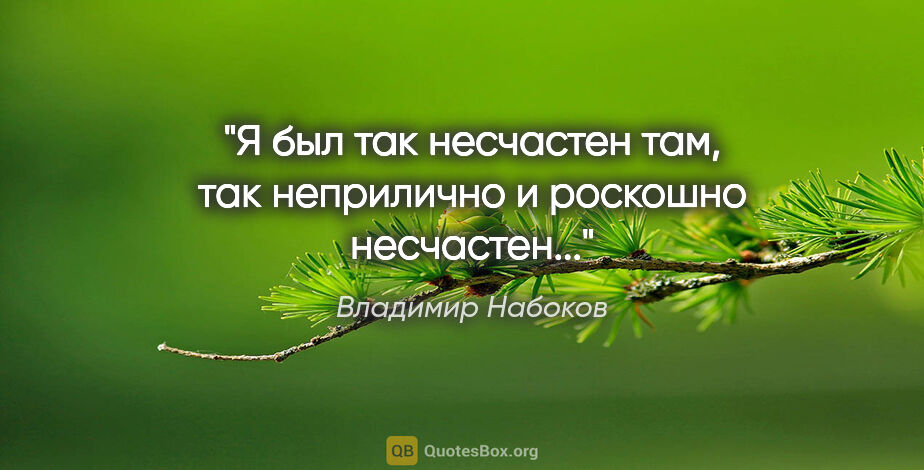 Владимир Набоков цитата: "Я был так несчастен там, так неприлично и роскошно несчастен..."