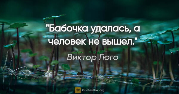 Виктор Гюго цитата: ""Бабочка удалась, а человек не вышел"."