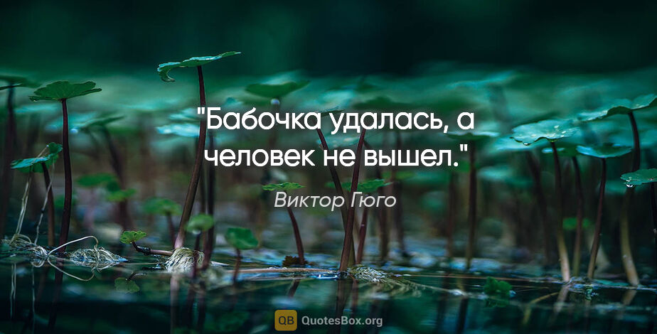 Виктор Гюго цитата: ""Бабочка удалась, а человек не вышел"."