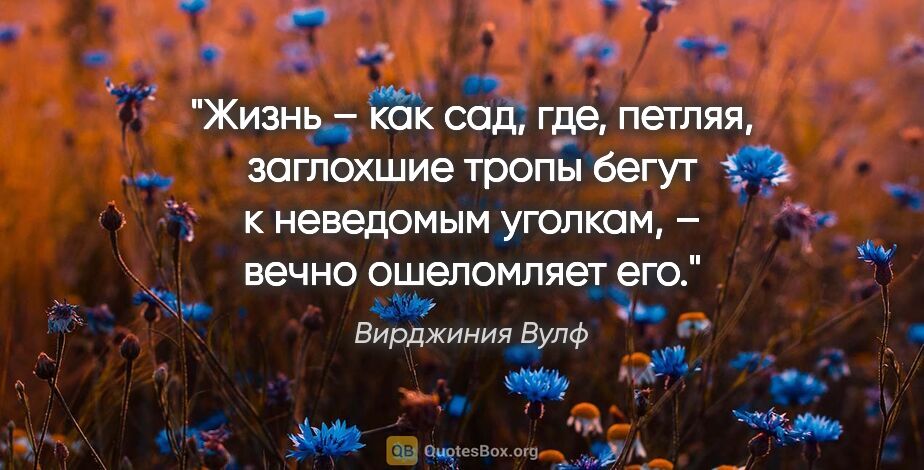 Вирджиния Вулф цитата: "Жизнь – как сад, где, петляя, заглохшие тропы бегут к..."