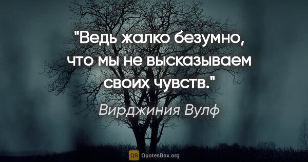 Вирджиния Вулф цитата: "Ведь жалко безумно, что мы не высказываем своих чувств."