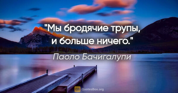 Паоло Бачигалупи цитата: "Мы бродячие трупы, и больше ничего."