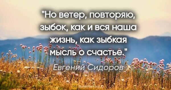 Евгений Сидоров цитата: "Но ветер, повторяю, зыбок, как и вся наша жизнь, как зыбкая..."