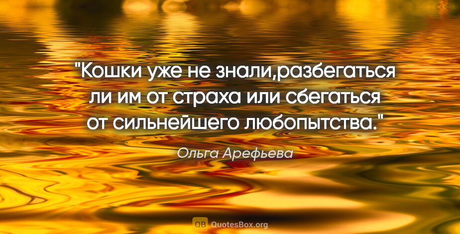 Ольга Арефьева цитата: "Кошки уже не знали,разбегаться ли им от страха или сбегаться..."