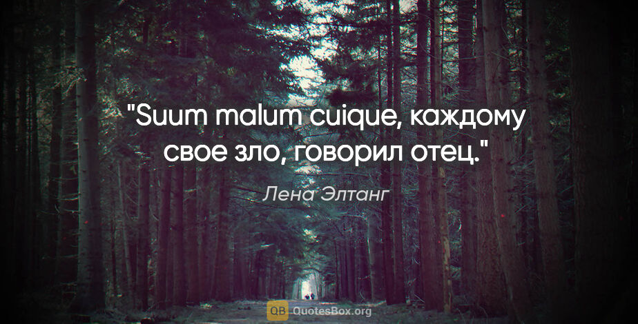 Лена Элтанг цитата: "Suum malum cuique, каждому свое зло, говорил отец."