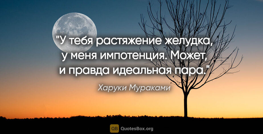 Харуки Мураками цитата: "У тебя растяжение желудка, у меня импотенция. Может, и правда..."