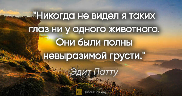 Эдит Патту цитата: "Никогда не видел я таких глаз ни у одного животного. Они были..."