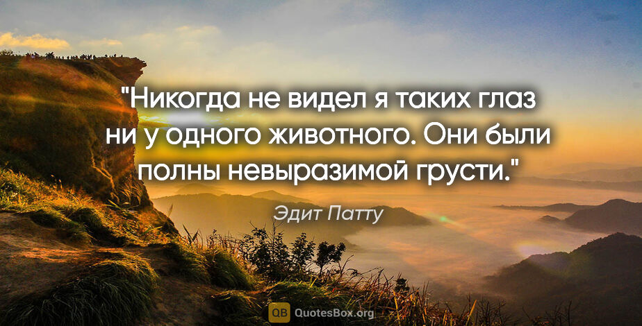 Эдит Патту цитата: "Никогда не видел я таких глаз ни у одного животного. Они были..."