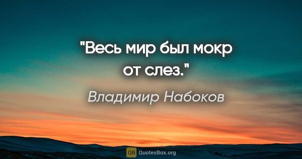 Владимир Набоков цитата: "Весь мир был мокр от слез."