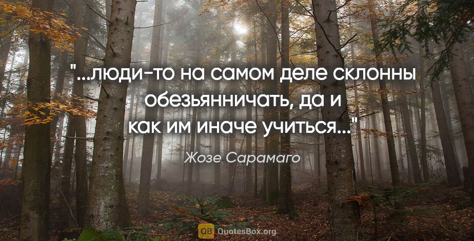 Жозе Сарамаго цитата: "люди-то на самом деле склонны обезьянничать, да и как им иначе..."