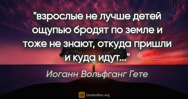 Иоганн Вольфганг Гете цитата: "взрослые не лучше детей ощупью бродят по земле и тоже не..."