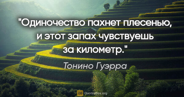 Тонино Гуэрра цитата: ""Одиночество пахнет плесенью, и этот запах чувствуешь за..."