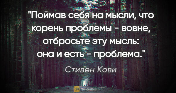 Стивен Кови цитата: "Поймав себя на мысли, что корень проблемы - вовне, отбросьте..."