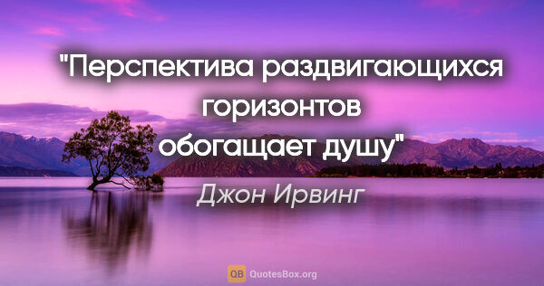 Джон Ирвинг цитата: "Перспектива раздвигающихся горизонтов обогащает душу"