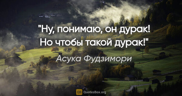 Асука Фудзимори цитата: "Ну, понимаю, он дурак! Но чтобы такой дурак!"