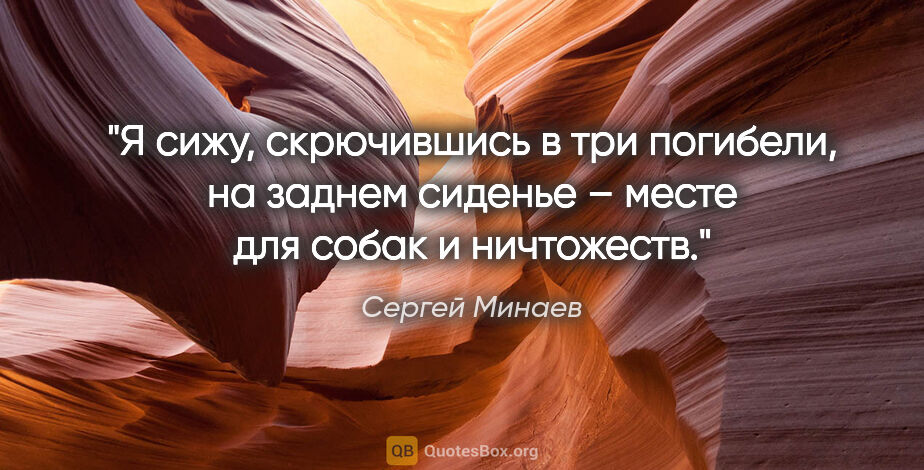 Сергей Минаев цитата: "Я сижу, скрючившись в три погибели, на заднем сиденье – месте..."