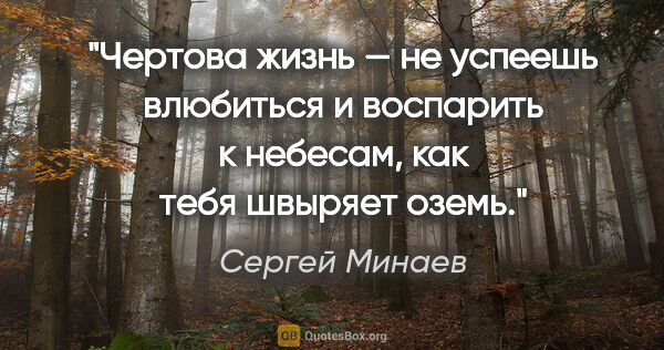Сергей Минаев цитата: "Чертова жизнь — не успеешь влюбиться и воспарить к небесам,..."