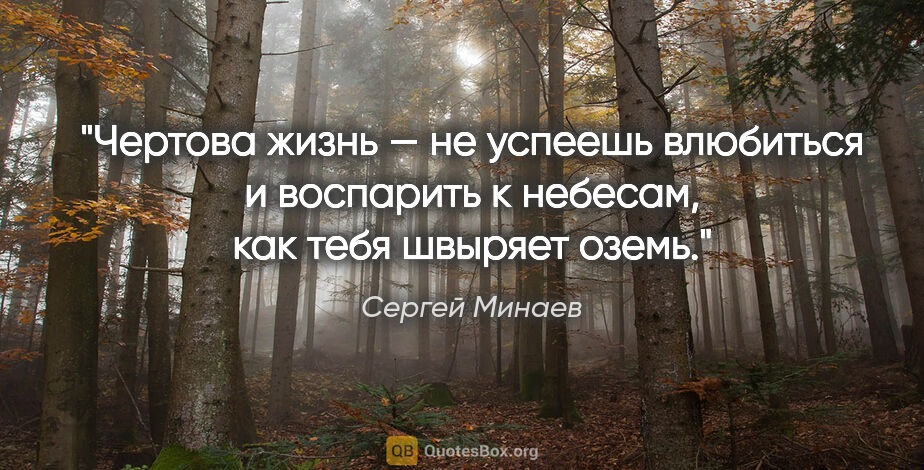 Сергей Минаев цитата: "Чертова жизнь — не успеешь влюбиться и воспарить к небесам,..."