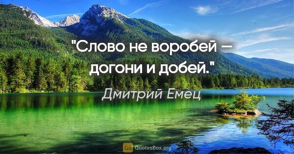 Дмитрий Емец цитата: "Слово не воробей — догони и добей."
