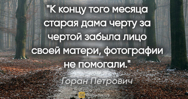 Горан Петрович цитата: "К концу того месяца старая дама черту за чертой забыла лицо..."