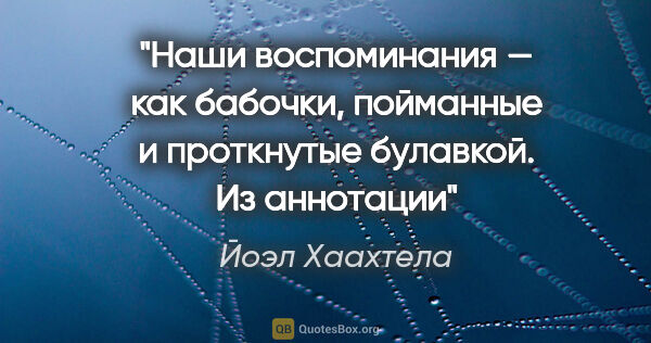 Йоэл Хаахтела цитата: "Наши воспоминания — как бабочки, пойманные и проткнутые..."