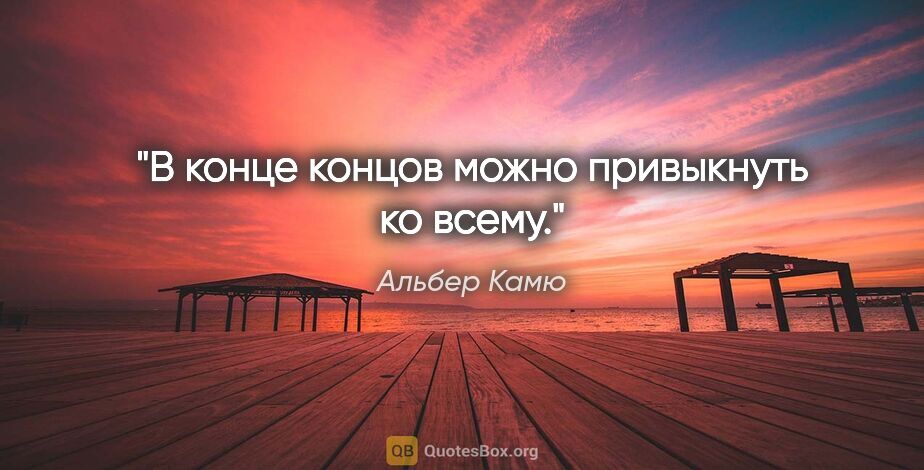 Альбер Камю цитата: "В конце концов можно привыкнуть ко всему."