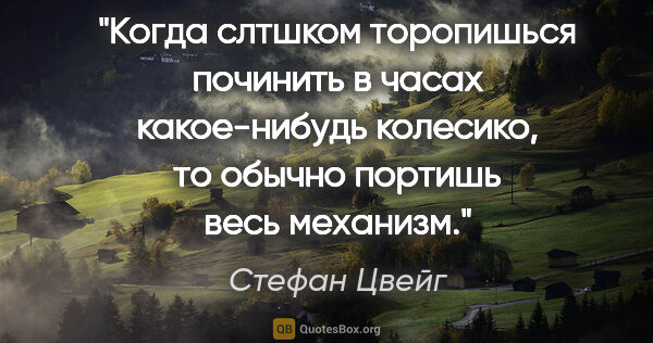 Стефан Цвейг цитата: "Когда слтшком торопишься починить в часах какое-нибудь..."