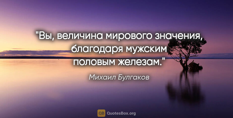 Михаил Булгаков цитата: "Вы, величина мирового значения, благодаря мужским половым..."