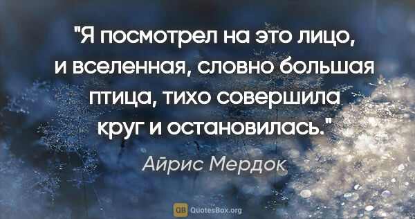 Айрис Мердок цитата: "Я посмотрел на это лицо, и вселенная, словно большая птица,..."