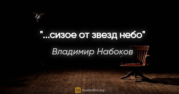 Владимир Набоков цитата: "...сизое от звезд небо"