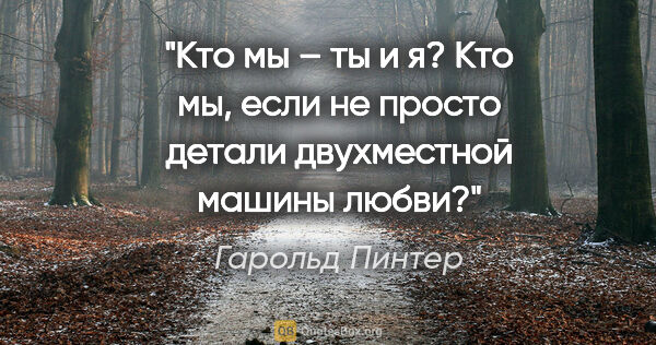 Гарольд Пинтер цитата: "Кто мы – ты и я? Кто мы, если не просто детали двухместной..."