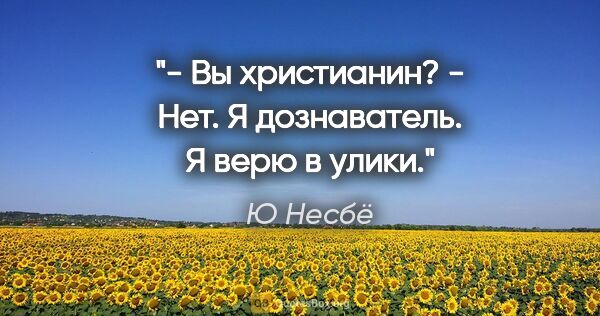 Ю Несбё цитата: "- Вы христианин?

- Нет. Я дознаватель. Я верю в улики."