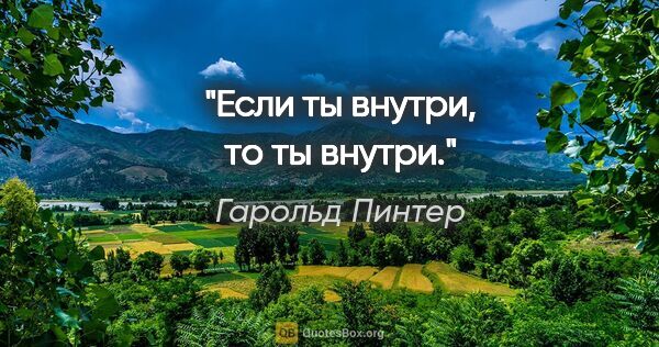 Гарольд Пинтер цитата: "Если ты внутри, то ты внутри."