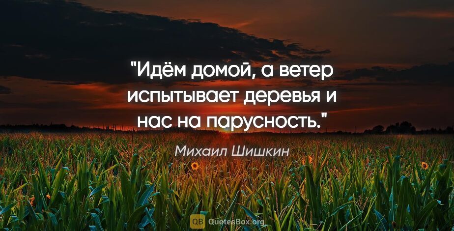 Михаил Шишкин цитата: "Идём домой, а ветер испытывает деревья и нас на парусность."