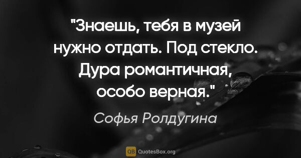 Софья Ролдугина цитата: "Знаешь, тебя в музей нужно отдать. Под стекло. "Дура..."