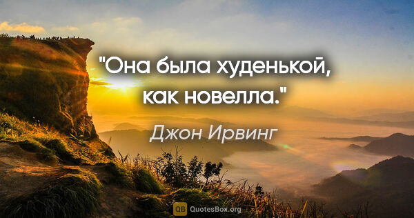 Джон Ирвинг цитата: "Она была худенькой, как новелла."