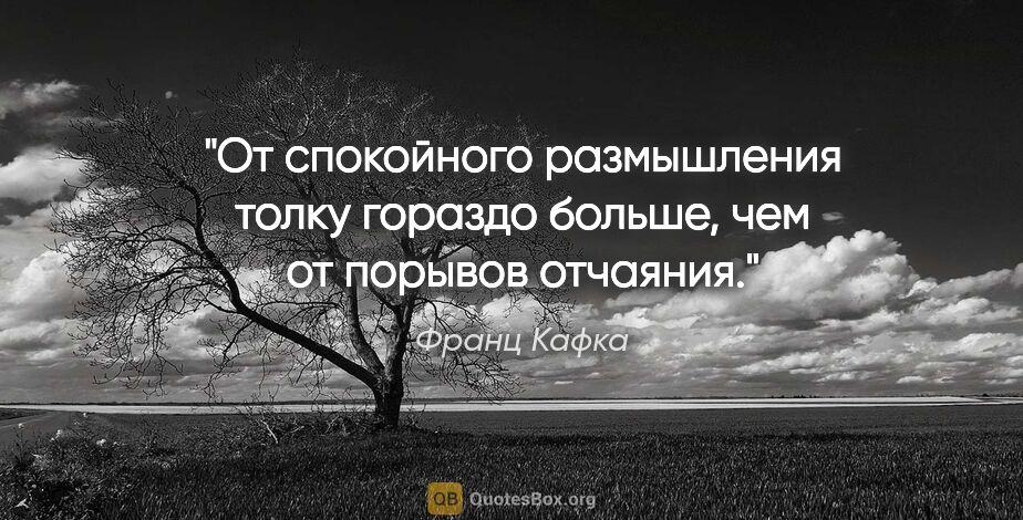 Франц Кафка цитата: "От спокойного размышления толку гораздо больше, чем от порывов..."