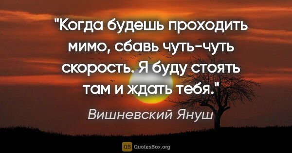 Вишневский Януш цитата: "Когда будешь проходить мимо, сбавь чуть-чуть скорость. Я буду..."