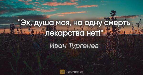 Иван Тургенев цитата: "Эх, душа моя, на одну смерть лекарства нет!"