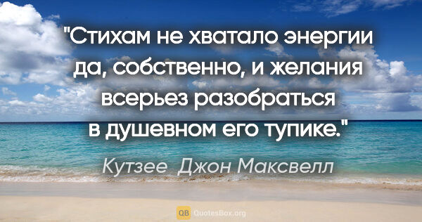 Кутзее  Джон Максвелл цитата: "Стихам не хватало энергии да, собственно, и желания всерьез..."