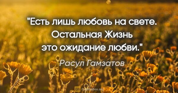 Расул Гамзатов цитата: "Есть лишь любовь на свете.

Остальная

Жизнь

это ожидание любви."