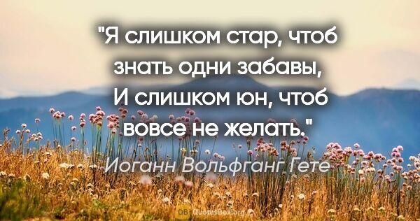 Иоганн Вольфганг Гете цитата: "Я слишком стар, чтоб знать одни забавы,

 И слишком юн, чтоб..."