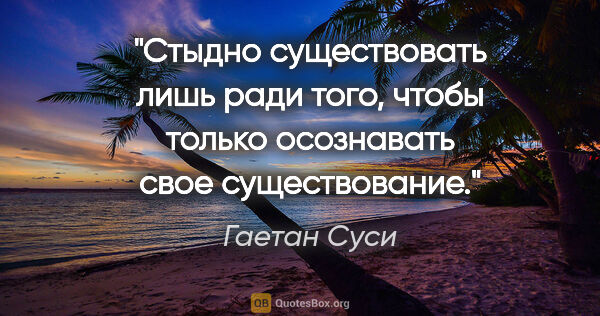 Гаетан Суси цитата: "Стыдно существовать лишь ради того, чтобы только осознавать..."