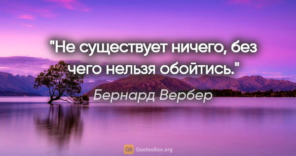 Бернард Вербер цитата: "Не существует ничего, без чего нельзя обойтись."